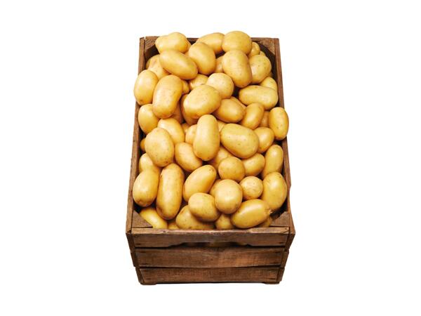 Delikatesspotatis
