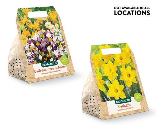 Gardenline Fall Bulbs Assorted Varieties
