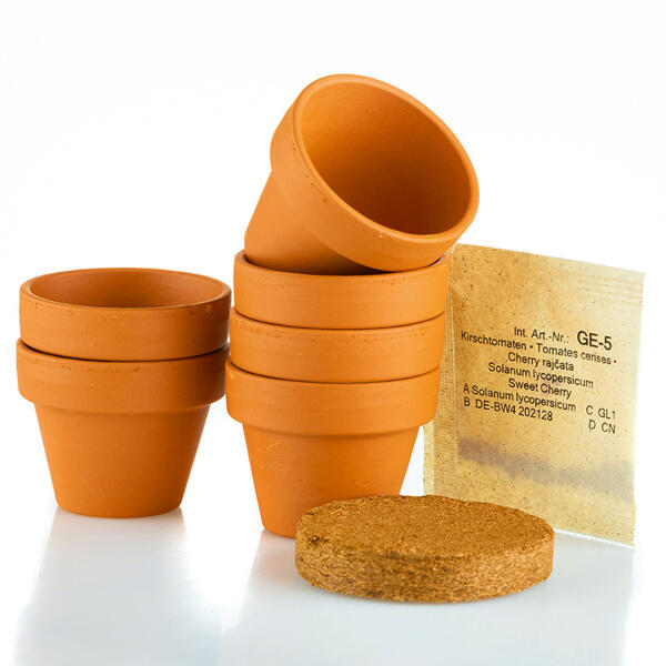 Mini-Gewächshaus