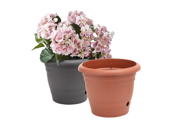 Blomkruka, 23 l