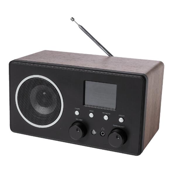 ENVIVO(R) 				DAB+-/FM-radio