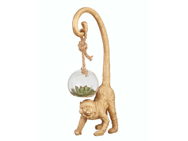 Plante grasse dans une boule en verre