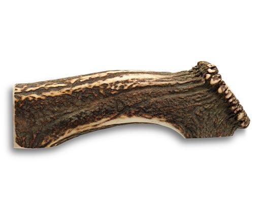 Pure Being Whole or Split Antler