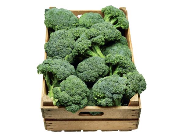 Broccoli