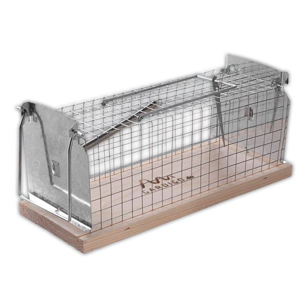 Ratten-Lebendfalle
