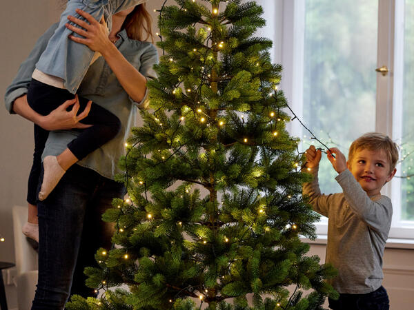 LED Christmas Lights