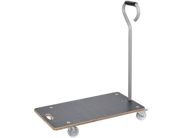 Platform Trolley
