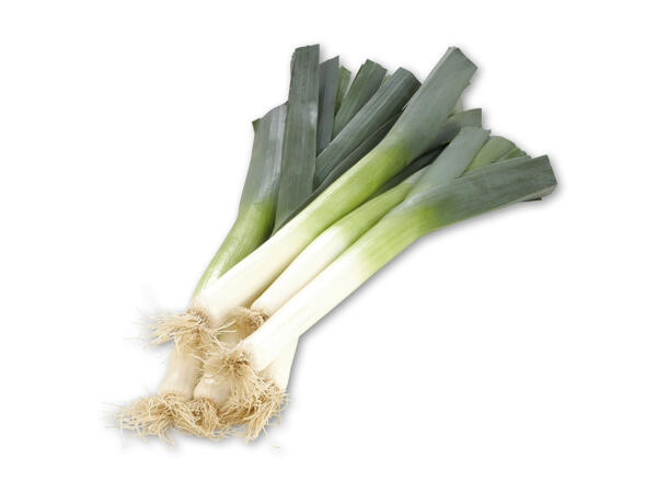 Danske porrer