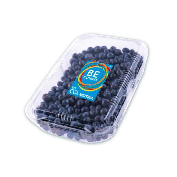 Premium Heidelbeeren
