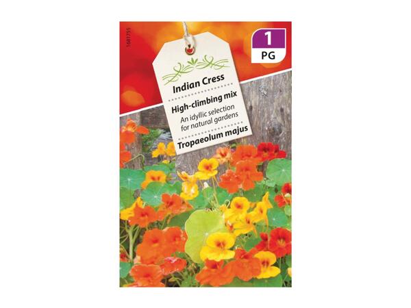 Fine Indian Cress Seeds