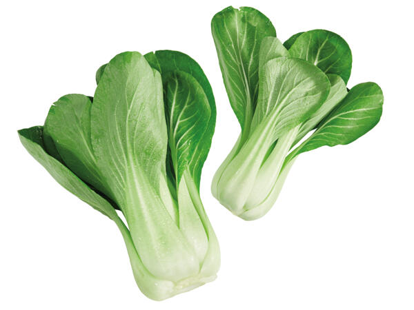 Pak Choi