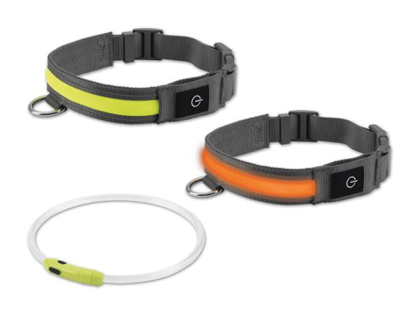 LED-Hundehalsband/Leuchtband