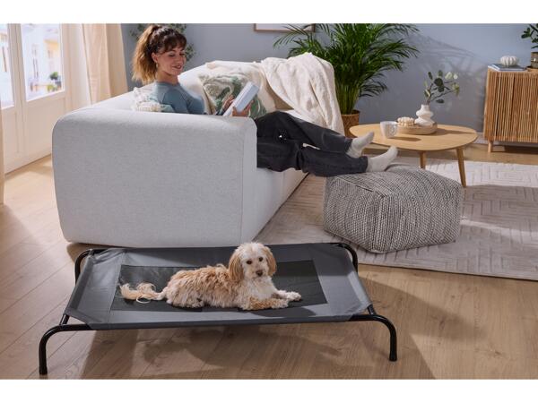 Dog Bed