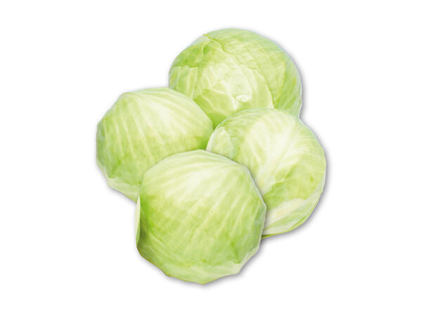 Dansk hvidkål