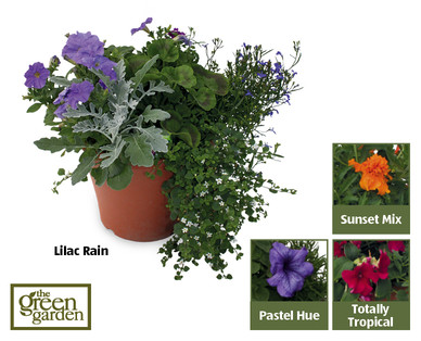 Summer Patio Planters
