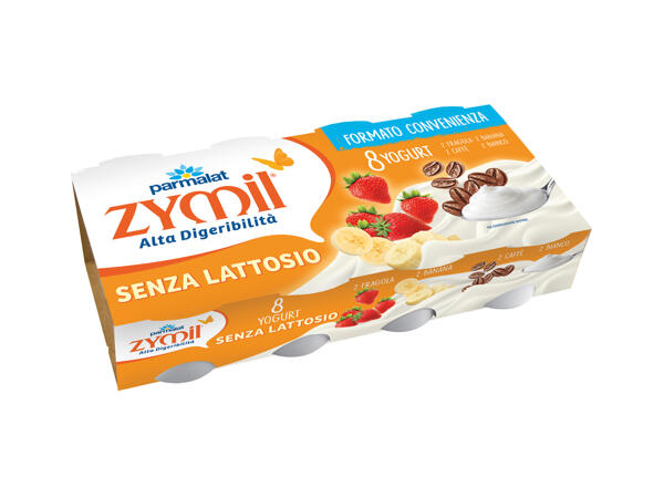 Lactose-Free Yoghurt
