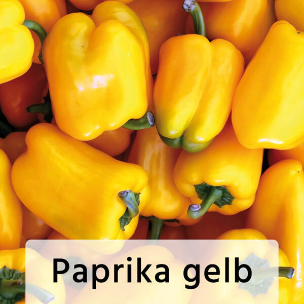 Gemüsepflanze