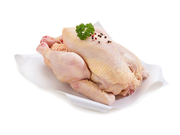 Poulet bio