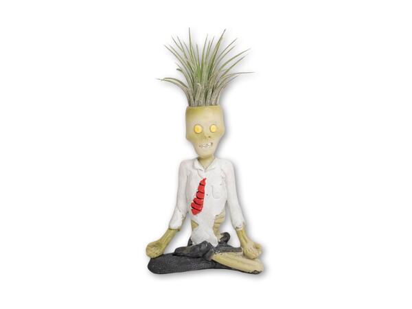 Tillandsia i keramik