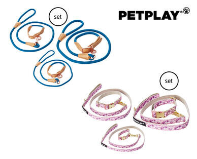 Dog Collar and Lead Set