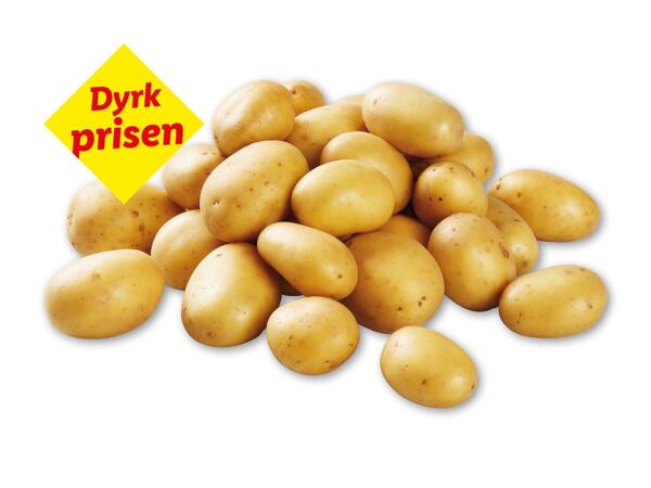Lammefjordskartofler