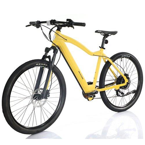 ALLEGRO Invisible E-MTB AXIM°03 19", Corn