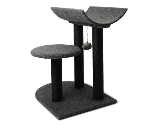 Heart to Tail 
 Modern Cat Activity Tree