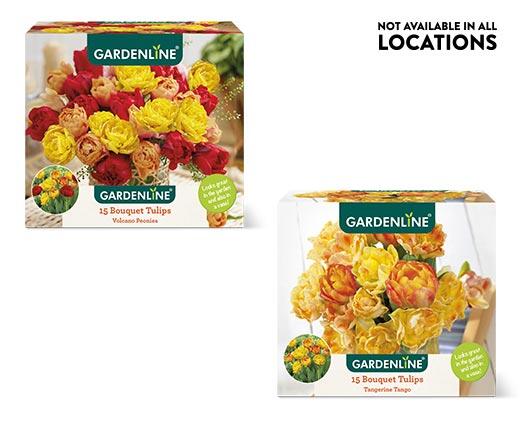 Gardenline Perfect Match Bulbs Assorted Varieties