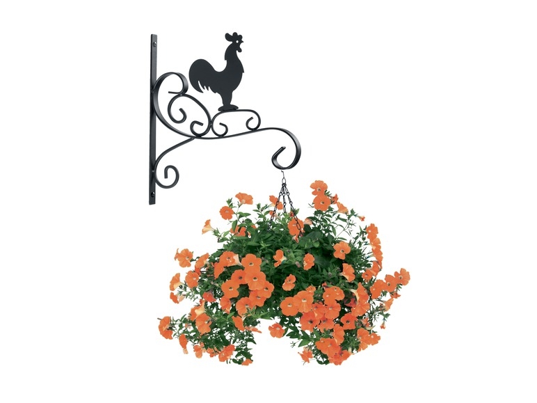 Wandhouder voor hangbloempot