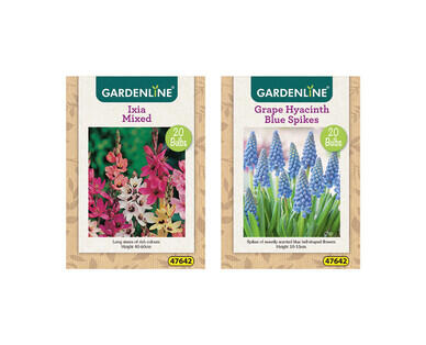 Assorted Packet Bulbs