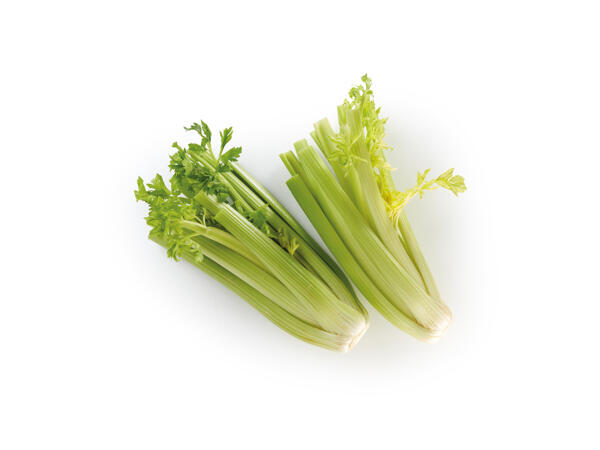 Green Celery