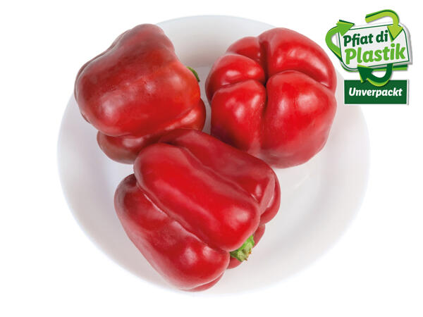 Paprika rot