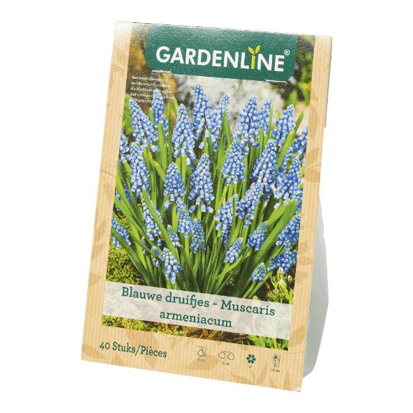 GARDENLINE(R) 				Bloembollen