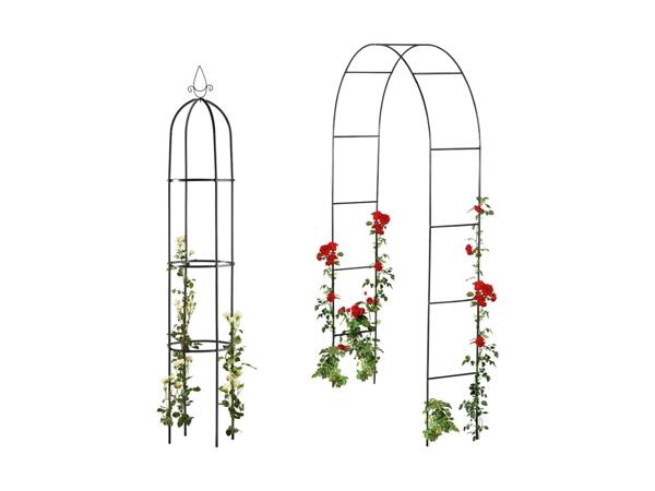 LIVARNO HOME(R) Rosenbue eller espalier