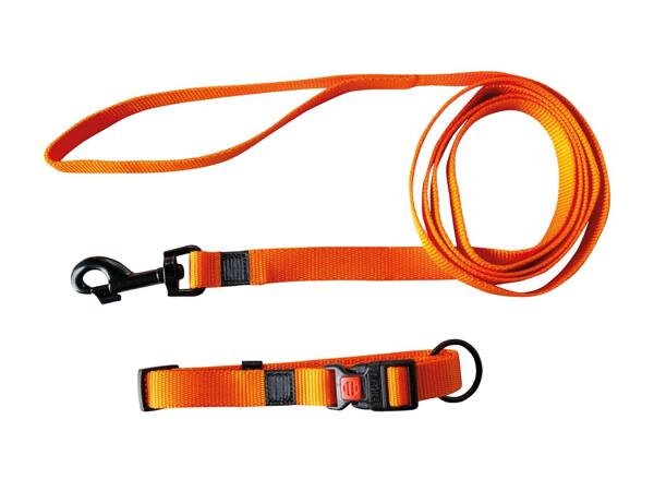 KARLIE(R) Hundehalsbånd og line