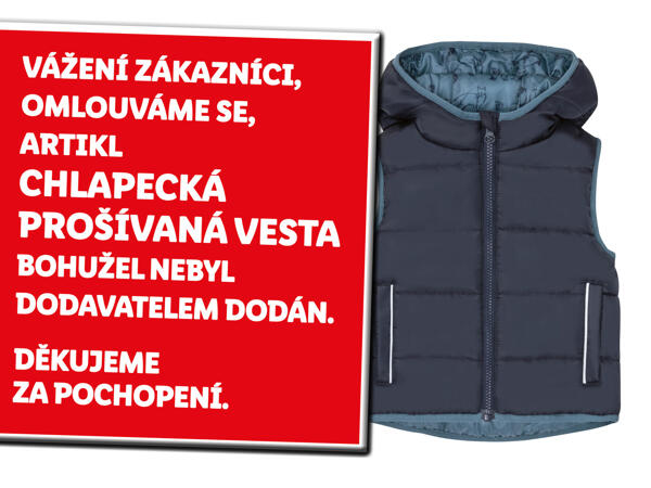 PROŠÍVANÁ VESTA