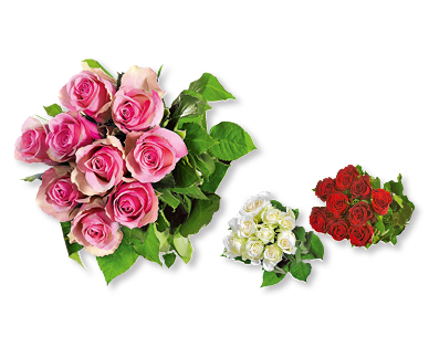 Roses à longues tiges Fairtrade Max Havelaar GARDENLINE(R)