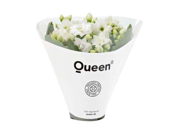 Mini brændende kærlighed
