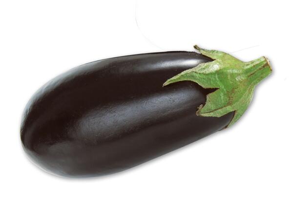 Aubergine