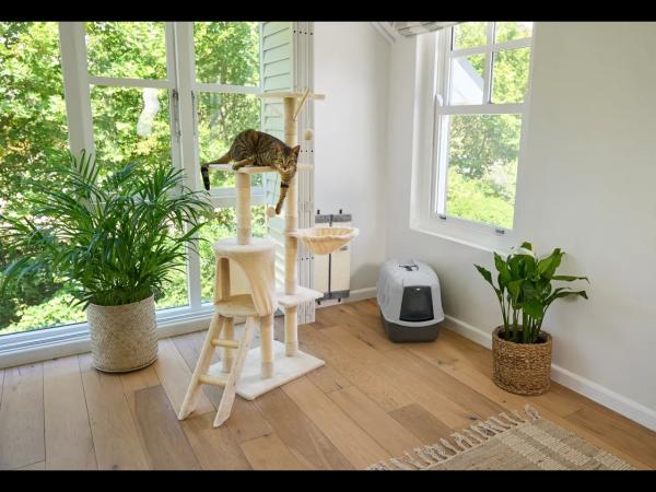 Cat Litter Tray / Pet Carrier