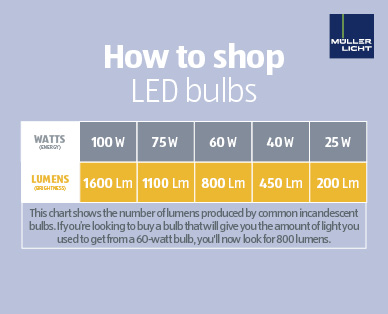 LED LIGHT BULB