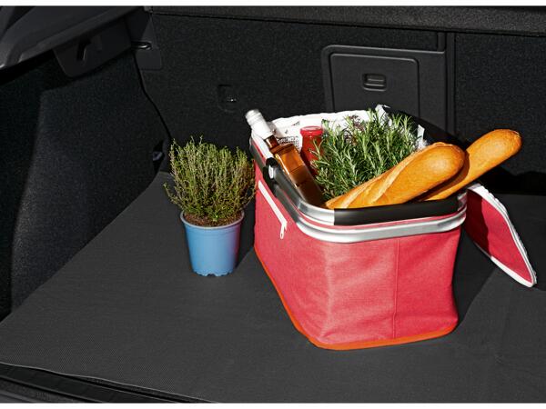 Car Boot Accessories
