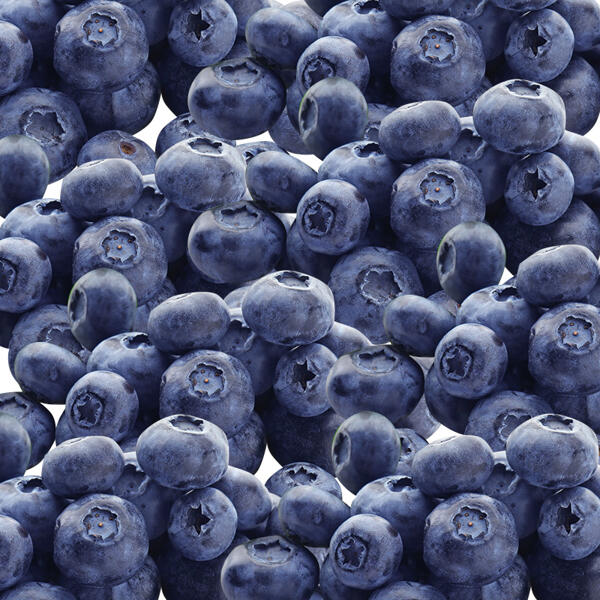 Premium Heidelbeeren