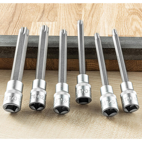 Torx-Einsatz