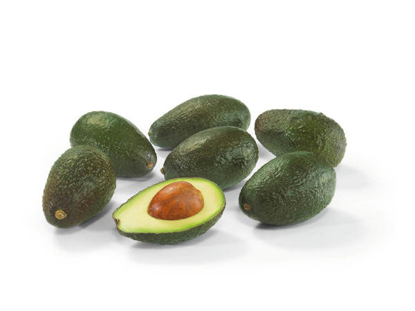 Avocat