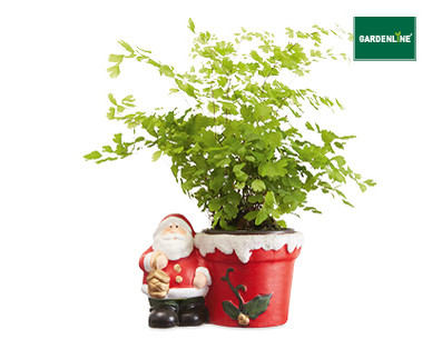 NOVELTY SANTA FERN PLANTERS 