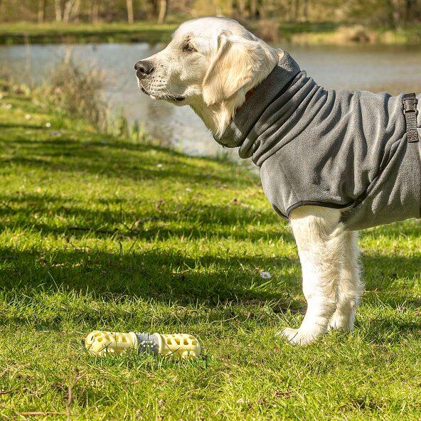 ROMEO(R) Bâton à mâcher pour chiens