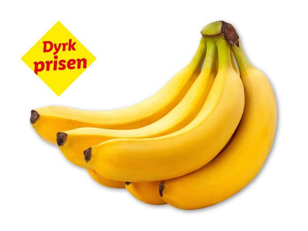 Rainforest-banan