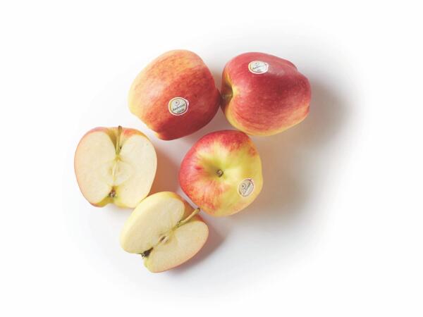 Ambrosia Red Apples