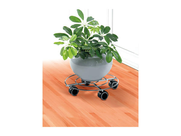 Livarno Living Plant Roller1